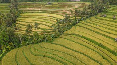 Bali, Endonezya - 11 Kasım 2022: Bali 'nin Turistik Çekim ve Yerleşkeleri