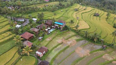 Bali, Endonezya - 11 Kasım 2022: Bali 'nin Turistik Çekim ve Yerleşkeleri