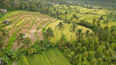 Bali, Endonezya - 11 Kasım 2022: Bali 'nin Turistik Çekim ve Yerleşkeleri