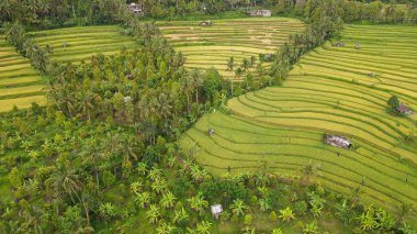 Bali, Endonezya - 11 Kasım 2022: Bali 'nin Turistik Çekim ve Yerleşkeleri