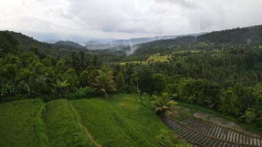 Bali, Endonezya - 11 Kasım 2022: Bali 'nin Turistik Çekim ve Yerleşkeleri