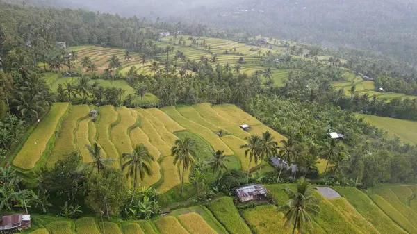 Bali, Endonezya - 11 Kasım 2022: Bali 'nin Turistik Çekim ve Yerleşkeleri