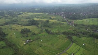 Bali, Endonezya - 11 Kasım 2022: Bali 'nin Turistik Çekim ve Yerleşkeleri