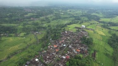 Bali, Endonezya - 11 Kasım 2022: Bali 'nin Turistik Çekim ve Yerleşkeleri