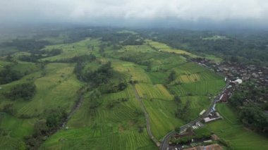 Bali, Endonezya - 11 Kasım 2022: Bali 'nin Turistik Çekim ve Yerleşkeleri