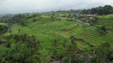 Bali, Endonezya - 11 Kasım 2022: Bali 'nin Turistik Çekim ve Yerleşkeleri