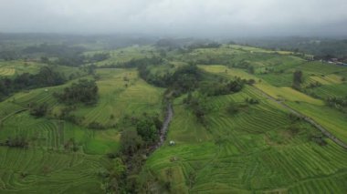 Bali, Endonezya - 11 Kasım 2022: Bali 'nin Turistik Çekim ve Yerleşkeleri