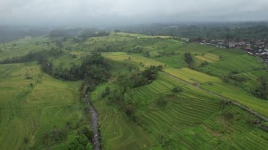 Bali, Endonezya - 11 Kasım 2022: Bali 'nin Turistik Çekim ve Yerleşkeleri