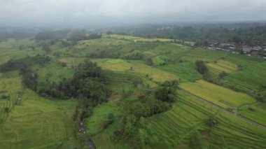 Bali, Endonezya - 11 Kasım 2022: Bali 'nin Turistik Çekim ve Yerleşkeleri