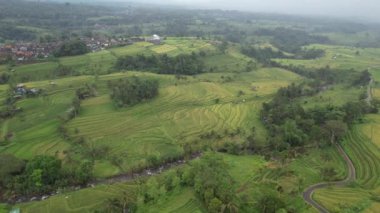 Bali, Endonezya - 11 Kasım 2022: Bali 'nin Turistik Çekim ve Yerleşkeleri