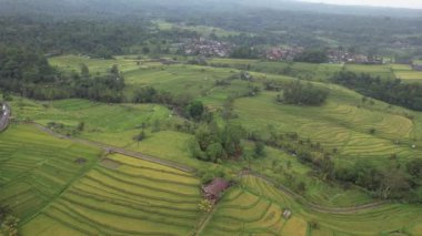 Bali, Endonezya - 11 Kasım 2022: Bali 'nin Turistik Çekim ve Yerleşkeleri