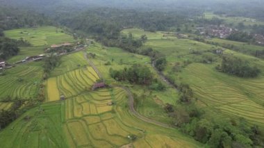 Bali, Endonezya - 11 Kasım 2022: Bali 'nin Turistik Çekim ve Yerleşkeleri
