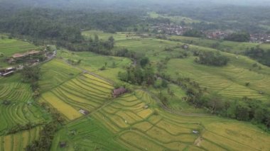 Bali, Endonezya - 11 Kasım 2022: Bali 'nin Turistik Çekim ve Yerleşkeleri