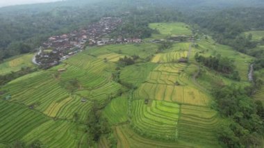 Bali, Endonezya - 11 Kasım 2022: Bali 'nin Turistik Çekim ve Yerleşkeleri