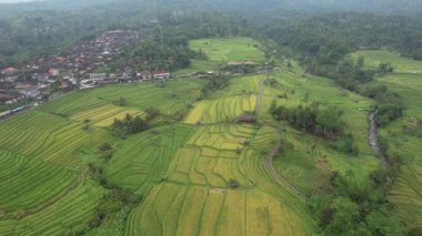 Bali, Endonezya - 11 Kasım 2022: Bali 'nin Turistik Çekim ve Yerleşkeleri