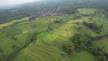 Bali, Endonezya - 11 Kasım 2022: Bali 'nin Turistik Çekim ve Yerleşkeleri