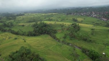Bali, Endonezya - 11 Kasım 2022: Bali 'nin Turistik Çekim ve Yerleşkeleri