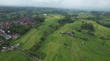 Bali, Endonezya - 11 Kasım 2022: Bali 'nin Turistik Çekim ve Yerleşkeleri
