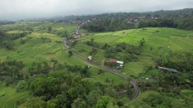 Bali, Endonezya - 11 Kasım 2022: Bali 'nin Turistik Çekim ve Yerleşkeleri
