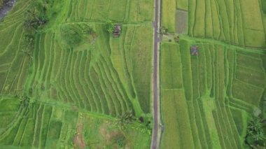 Bali, Endonezya - 11 Kasım 2022: Bali 'nin Turistik Çekim ve Yerleşkeleri