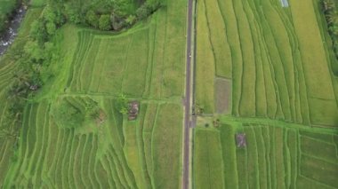 Bali, Endonezya - 11 Kasım 2022: Bali 'nin Turistik Çekim ve Yerleşkeleri