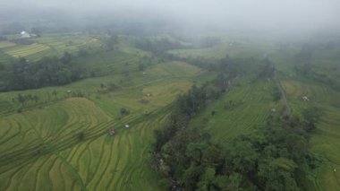 Bali, Endonezya - 11 Kasım 2022: Bali 'nin Turistik Çekim ve Yerleşkeleri