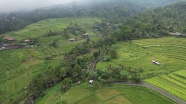 Bali, Endonezya - 11 Kasım 2022: Bali 'nin Turistik Çekim ve Yerleşkeleri