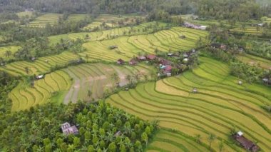 Bali, Endonezya - 11 Kasım 2022: Bali 'nin Turistik Çekim ve Yerleşkeleri