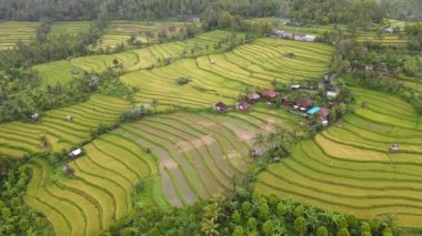 Bali, Endonezya - 11 Kasım 2022: Bali 'nin Turistik Çekim ve Yerleşkeleri