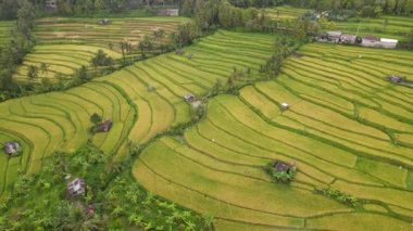 Bali, Endonezya - 11 Kasım 2022: Bali 'nin Turistik Çekim ve Yerleşkeleri