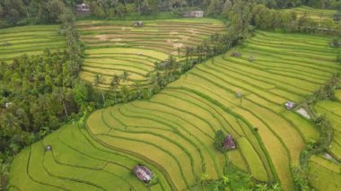 Bali, Endonezya - 11 Kasım 2022: Bali 'nin Turistik Çekim ve Yerleşkeleri