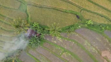 Bali, Endonezya - 11 Kasım 2022: Bali 'nin Turistik Çekim ve Yerleşkeleri