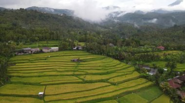 Bali, Endonezya - 11 Kasım 2022: Bali 'nin Turistik Çekim ve Yerleşkeleri