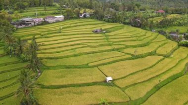 Bali, Endonezya - 11 Kasım 2022: Bali 'nin Turistik Çekim ve Yerleşkeleri