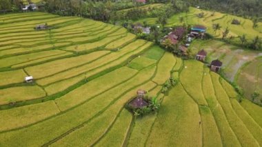 Bali, Endonezya - 11 Kasım 2022: Bali 'nin Turistik Çekim ve Yerleşkeleri