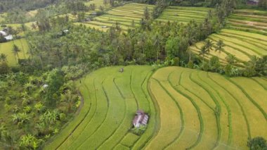 Bali, Endonezya - 11 Kasım 2022: Bali 'nin Turistik Çekim ve Yerleşkeleri