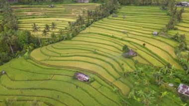 Bali, Endonezya - 11 Kasım 2022: Bali 'nin Turistik Çekim ve Yerleşkeleri