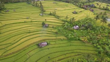 Bali, Endonezya - 11 Kasım 2022: Bali 'nin Turistik Çekim ve Yerleşkeleri