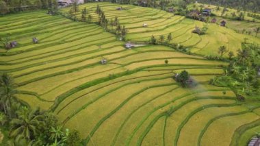 Bali, Endonezya - 11 Kasım 2022: Bali 'nin Turistik Çekim ve Yerleşkeleri