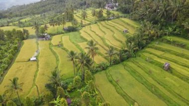 Bali, Endonezya - 11 Kasım 2022: Bali 'nin Turistik Çekim ve Yerleşkeleri