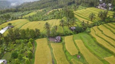 Bali, Endonezya - 11 Kasım 2022: Bali 'nin Turistik Çekim ve Yerleşkeleri