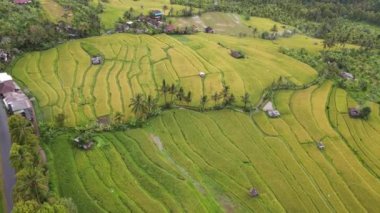 Bali, Endonezya - 11 Kasım 2022: Bali 'nin Turistik Çekim ve Yerleşkeleri