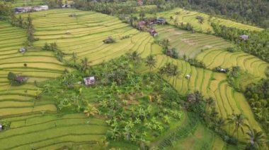 Bali, Endonezya - 11 Kasım 2022: Bali 'nin Turistik Çekim ve Yerleşkeleri