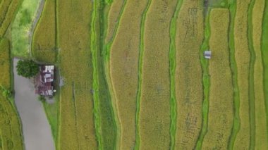 Bali, Endonezya - 11 Kasım 2022: Bali 'nin Turistik Çekim ve Yerleşkeleri