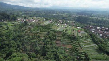 Bali, Endonezya - 11 Kasım 2022: Bali 'nin Turistik Çekim ve Yerleşkeleri