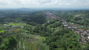 Bali, Endonezya - 11 Kasım 2022: Bali 'nin Turistik Çekim ve Yerleşkeleri