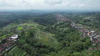 Bali, Endonezya - 11 Kasım 2022: Bali 'nin Turistik Çekim ve Yerleşkeleri