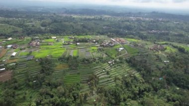 Bali, Endonezya - 11 Kasım 2022: Bali 'nin Turistik Çekim ve Yerleşkeleri