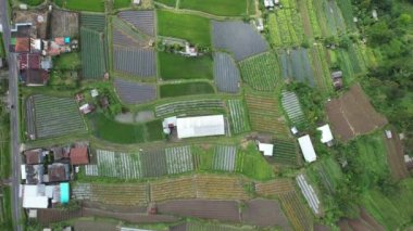 Bali, Endonezya - 11 Kasım 2022: Bali 'nin Turistik Çekim ve Yerleşkeleri