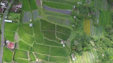 Bali, Endonezya - 11 Kasım 2022: Bali 'nin Turistik Çekim ve Yerleşkeleri